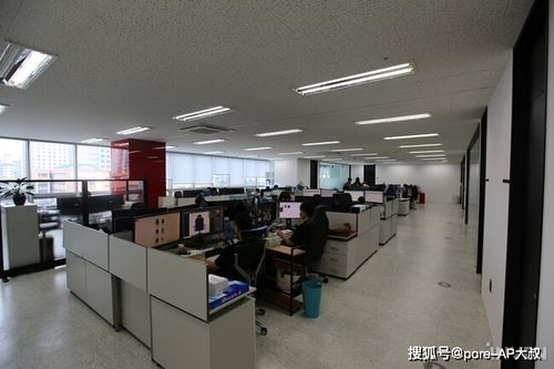 依托服務中心與產品體驗，打造卓越物業管理服務新范式